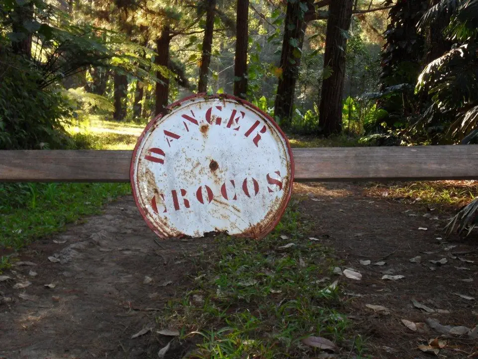 SDC17039.jpg