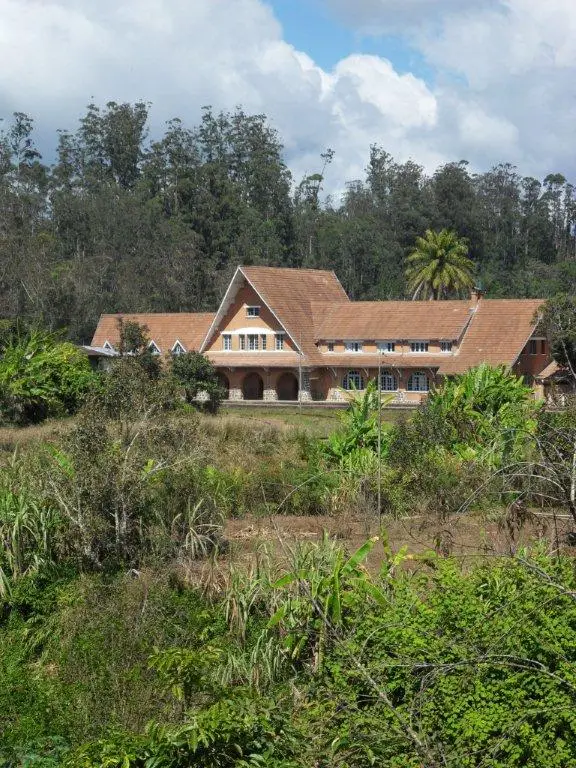 SDC17111.jpg