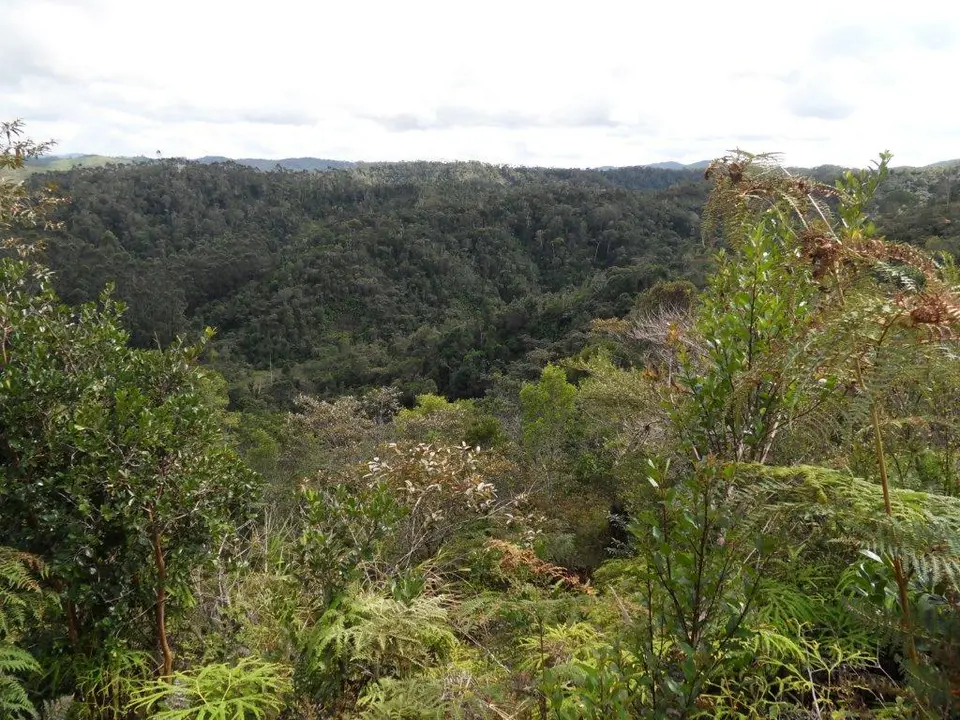 SDC17134.jpg