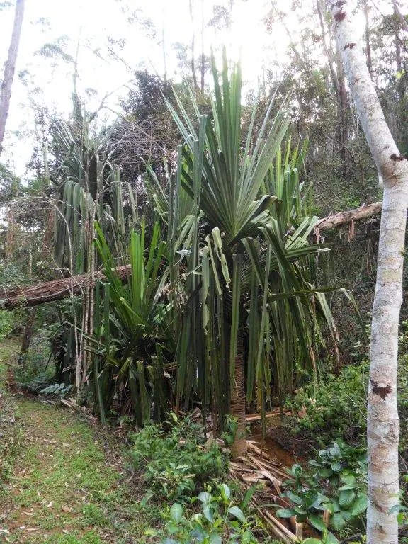 SDC17144.jpg