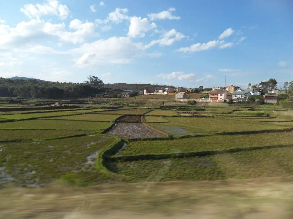 SDC17222.jpg