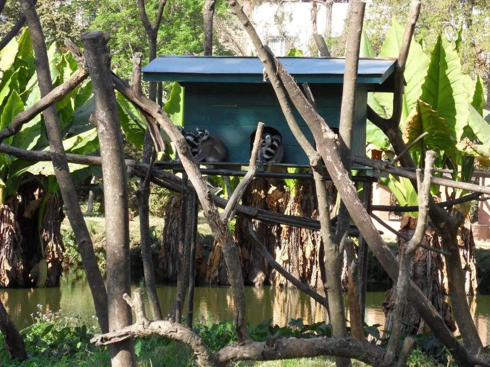 SDC17271.jpg