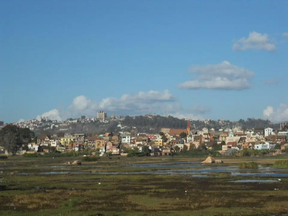 SDC17278.jpg