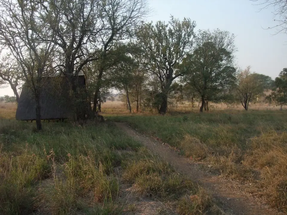 h368d1a3.JPG