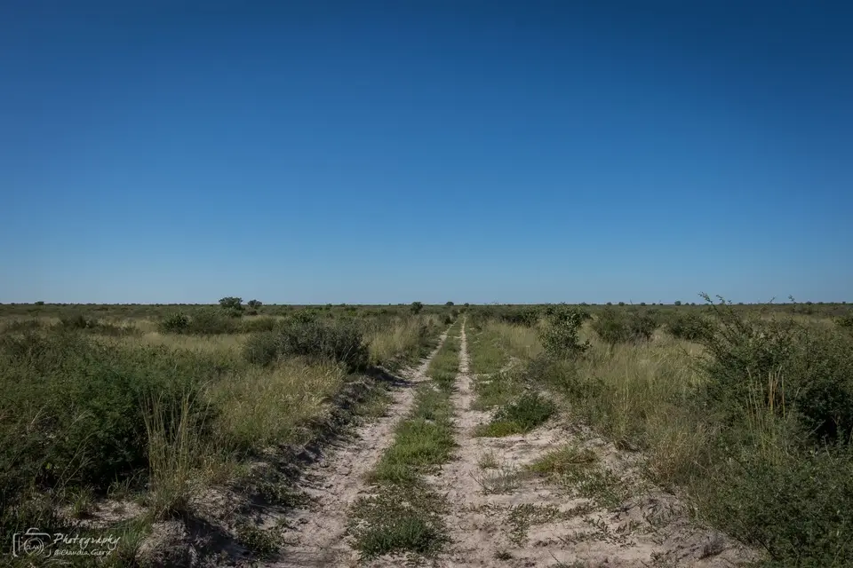 D7AG0161.jpg