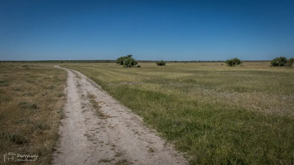 D7AG0176.jpg