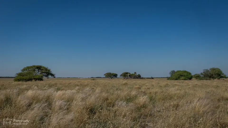 D7AG0521.jpg