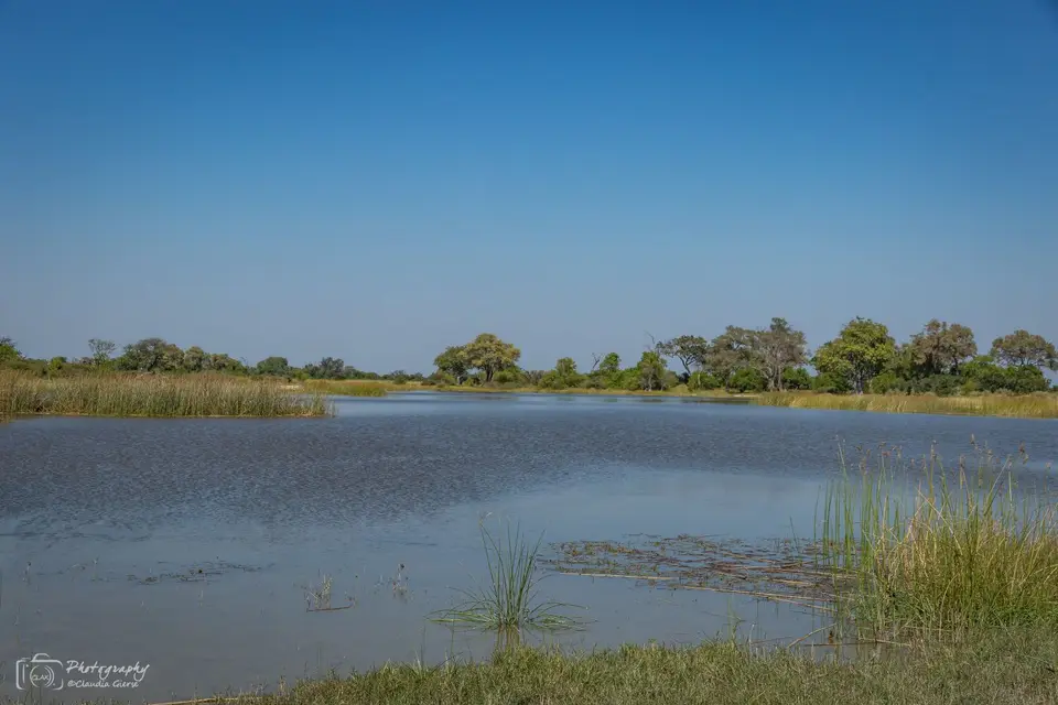 D7AG1130.jpg