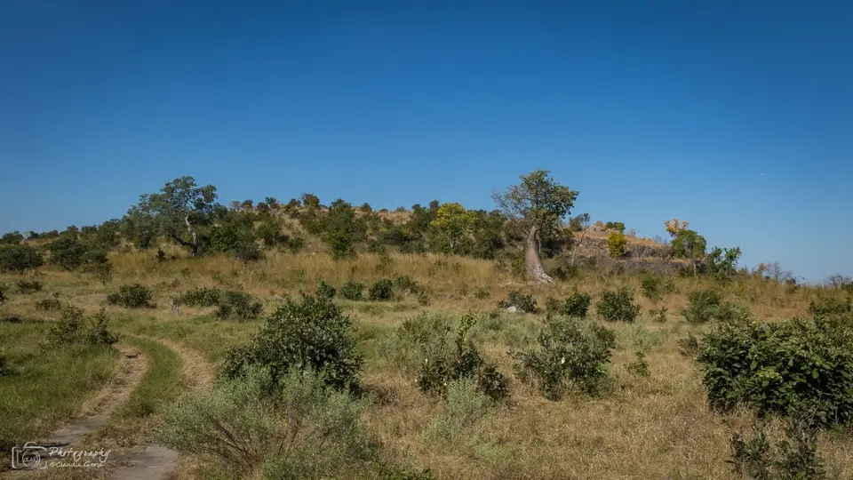 D7AG1563.jpg