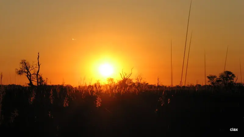 NAMBOT2011_0512.JPG