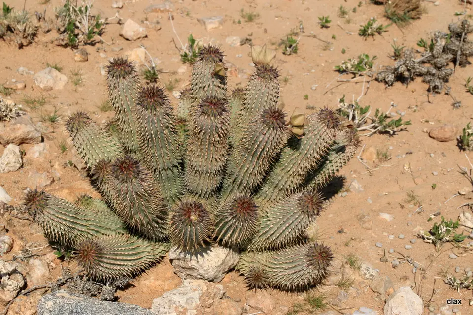 h0b6102c.JPG