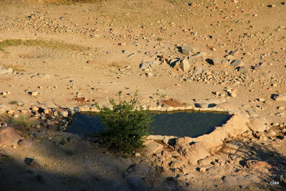 h205661b.JPG