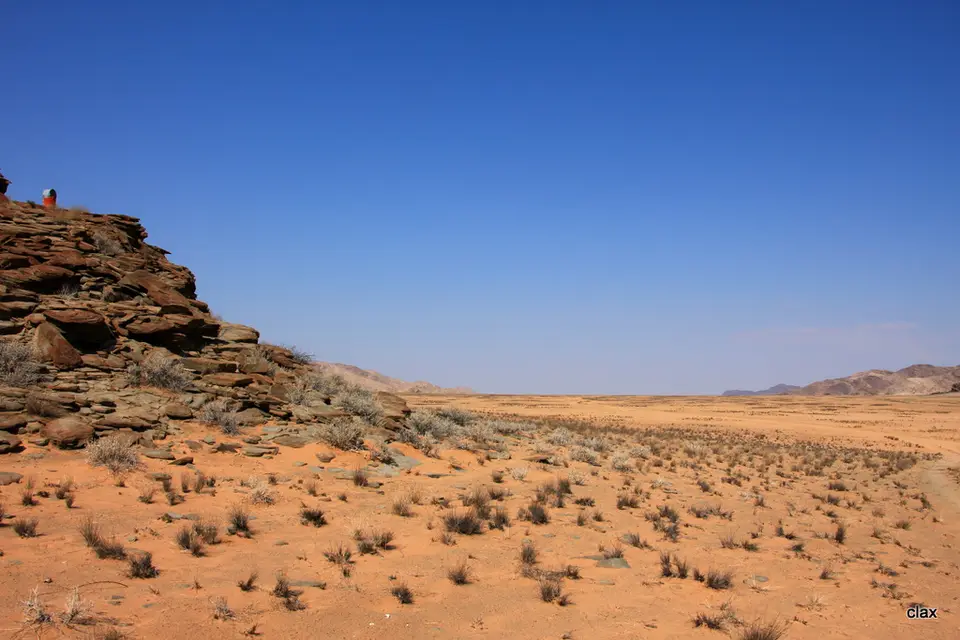 h357a5c4.JPG