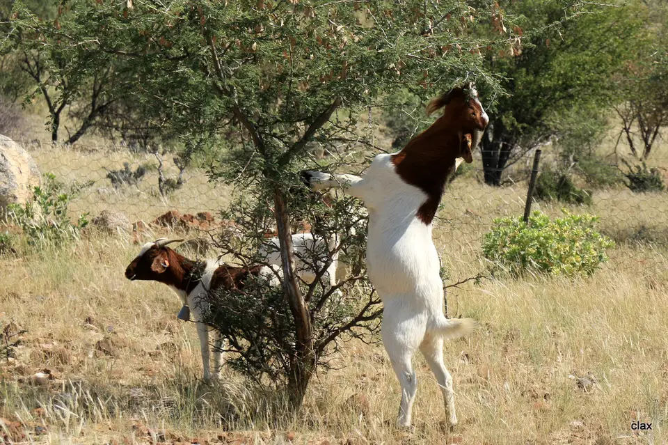 h399ab6e.JPG