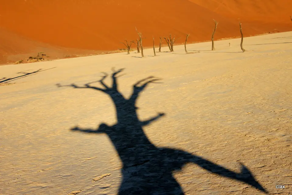 hc833770.jpg