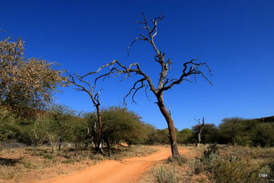 hd4d4f44.JPG