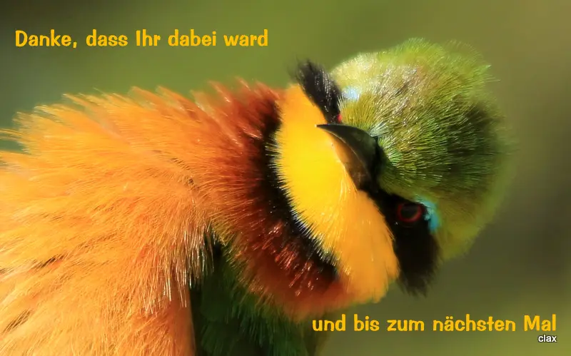 hfe4f8af.JPG