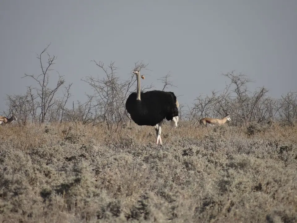 h3b6ce78.JPG