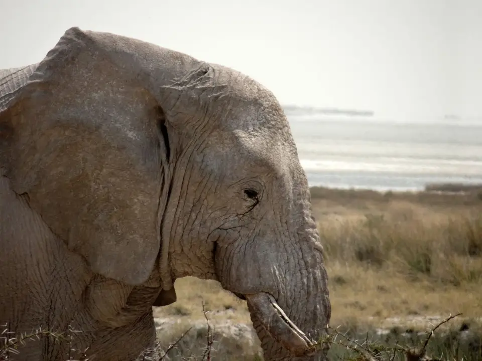 h62abf91.JPG