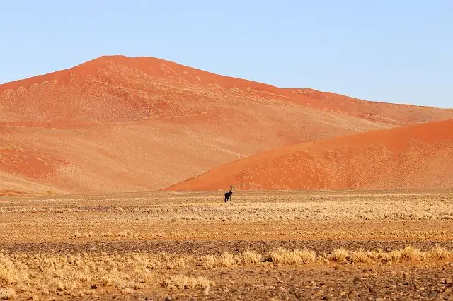 h28350bc.jpg