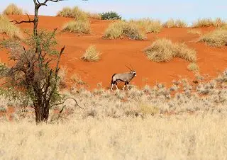 h4409751.jpg