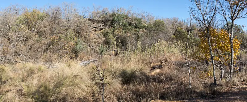 LV3C1856-Pano.jpg
