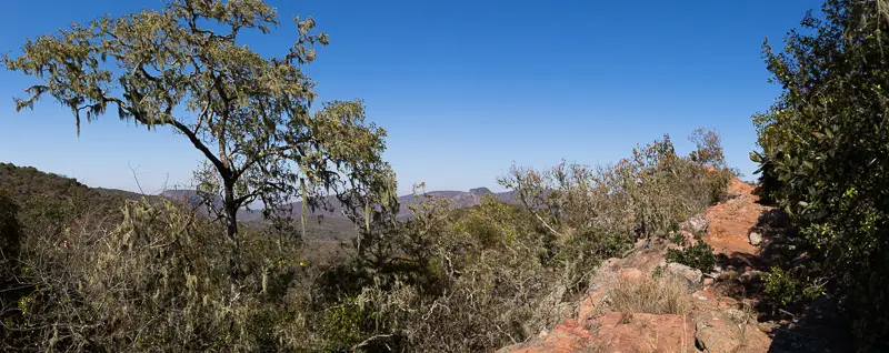 LV3C1950-Pano.jpg