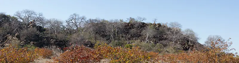 LV3C2573-Pano.jpg