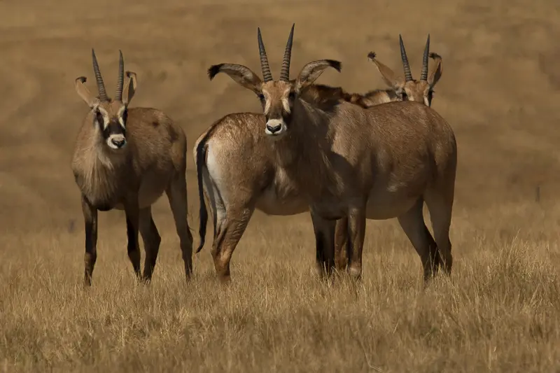 LV3C3158.jpg