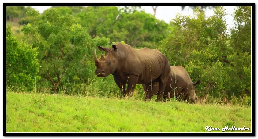 KNP19_11_18.jpg