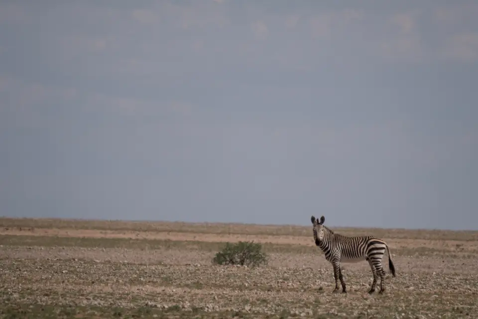 DSCF0073.jpg