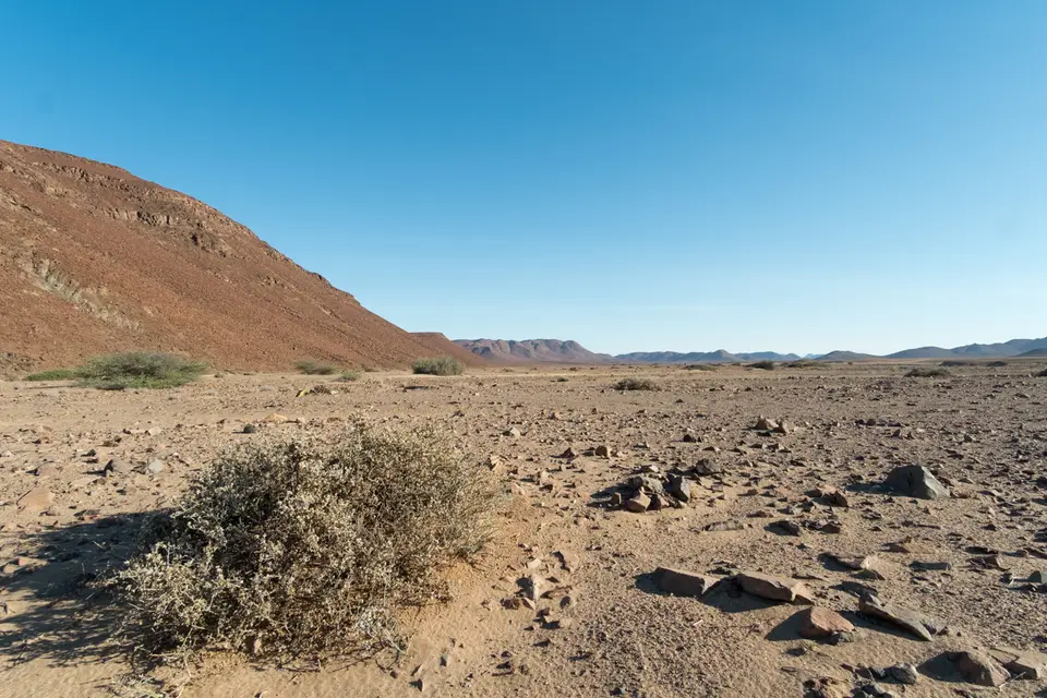 DSCF0723.jpg