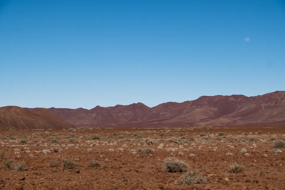 DSCF0738.jpg