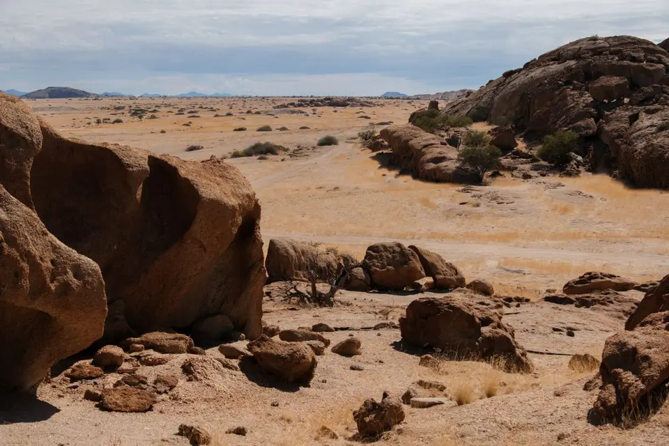 DSCF1627-2.jpg