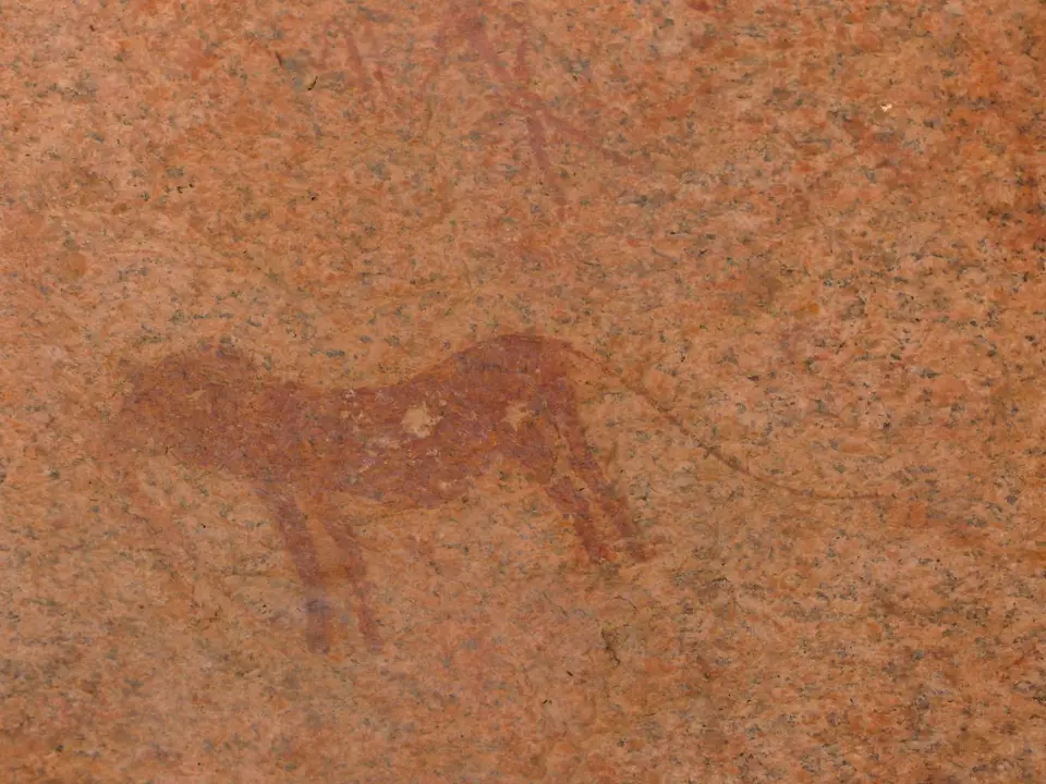 h1e61724.JPG