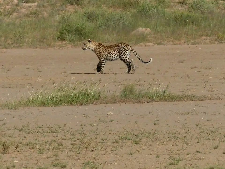 h2f3b377.JPG