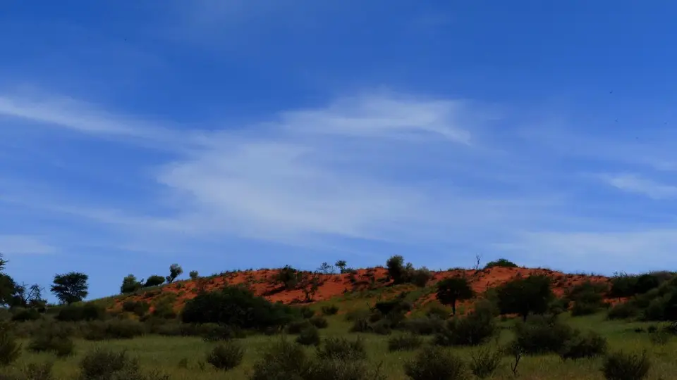 h5061765.JPG