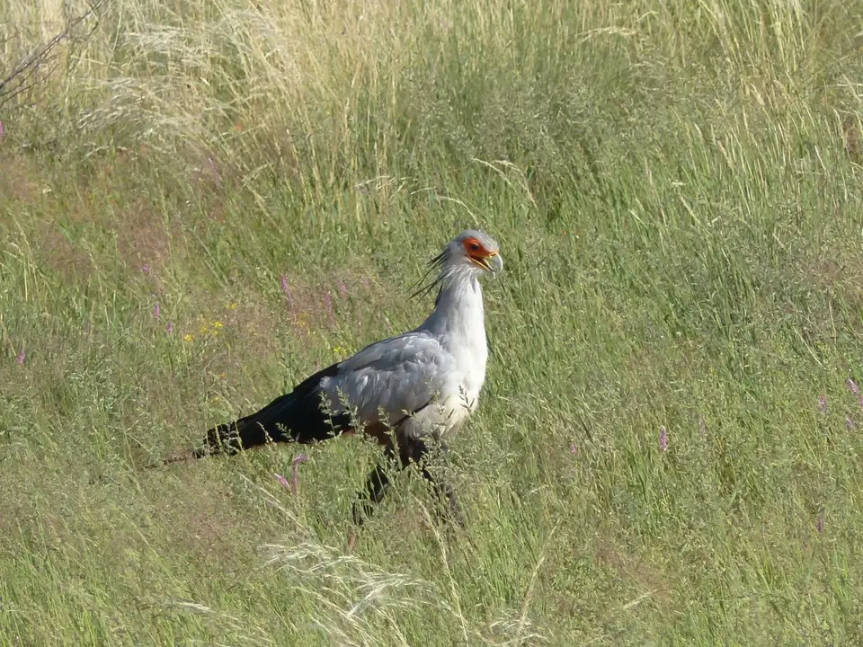 h7977433.JPG