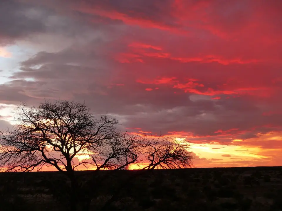 hc0d9905.JPG