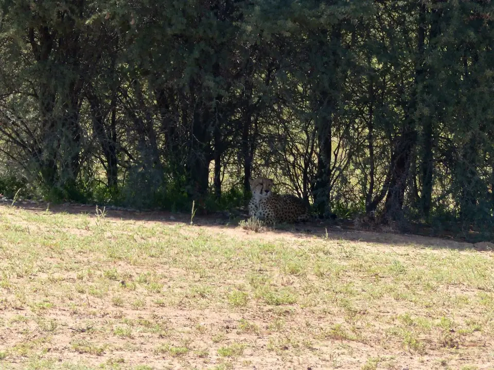 hfba3990.JPG