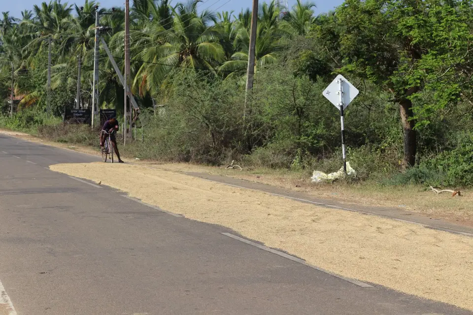 SriLanka272.JPG
