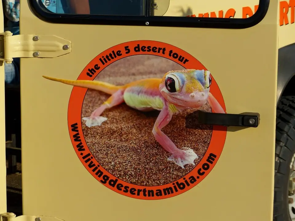 h21c7a04.jpg