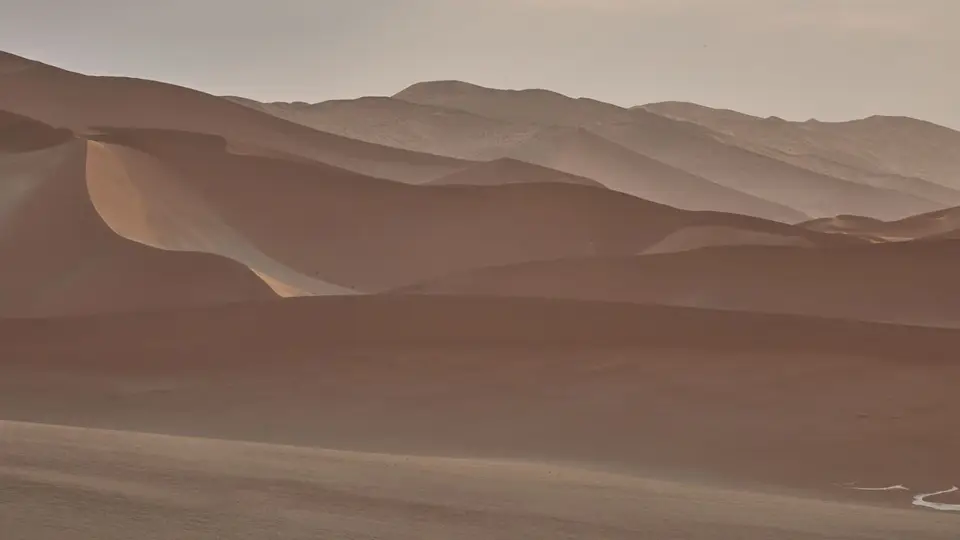 2022.09.01-080050_R6BA4480.jpg