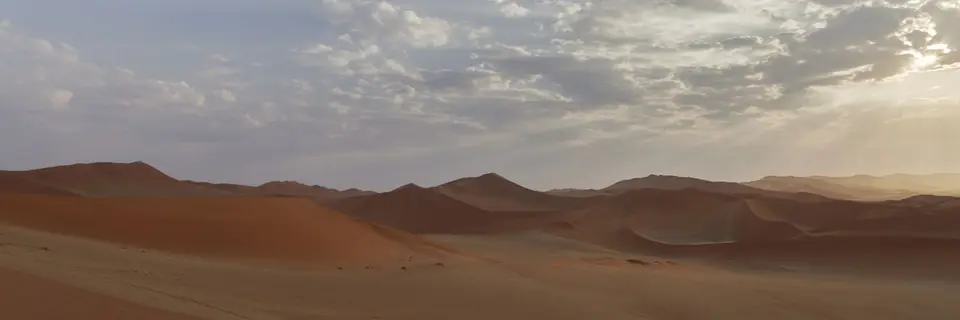 2022.09.01-080745_R5BA0442.jpg