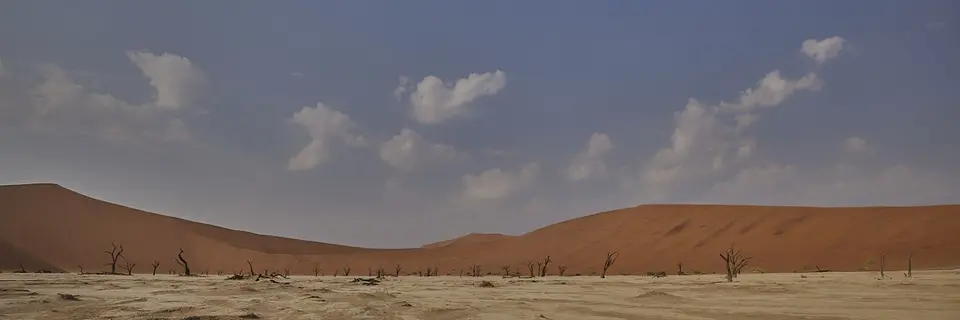 2022.09.01-093810_R5BA0492.jpg