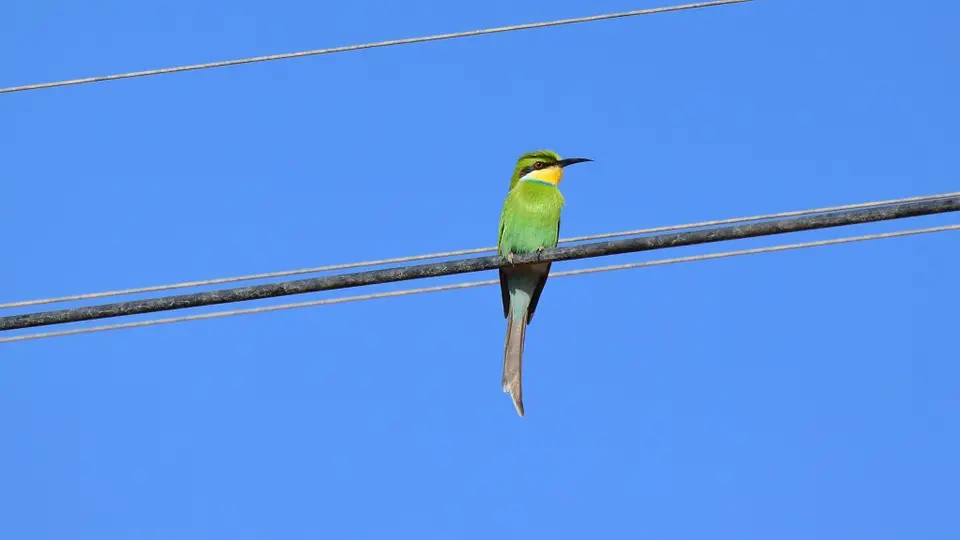 DSC_9386.jpg