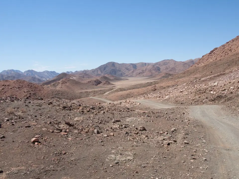 P2231566.jpg