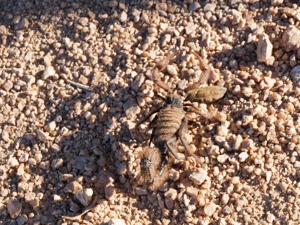 P2231593.jpg