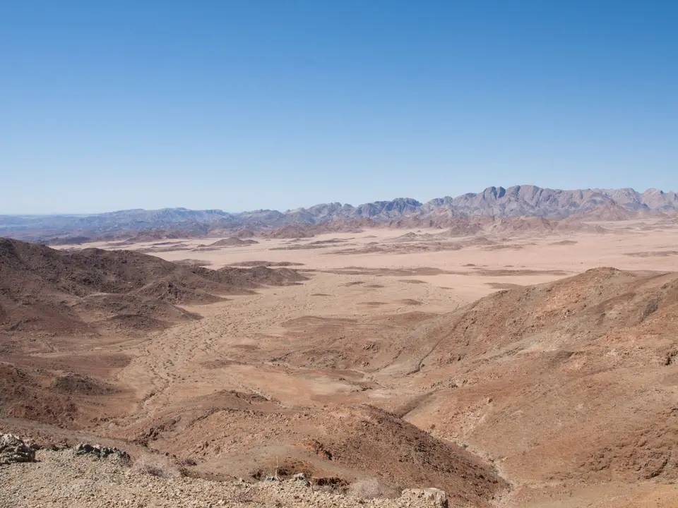 P2241612.jpg
