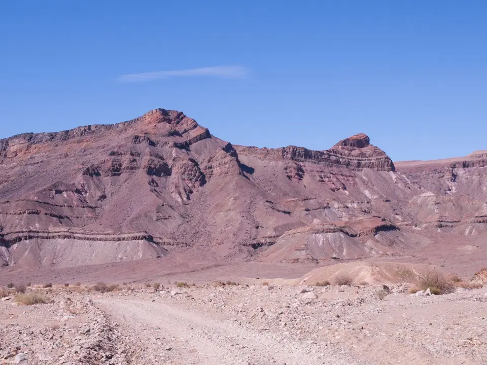 P2251684.jpg